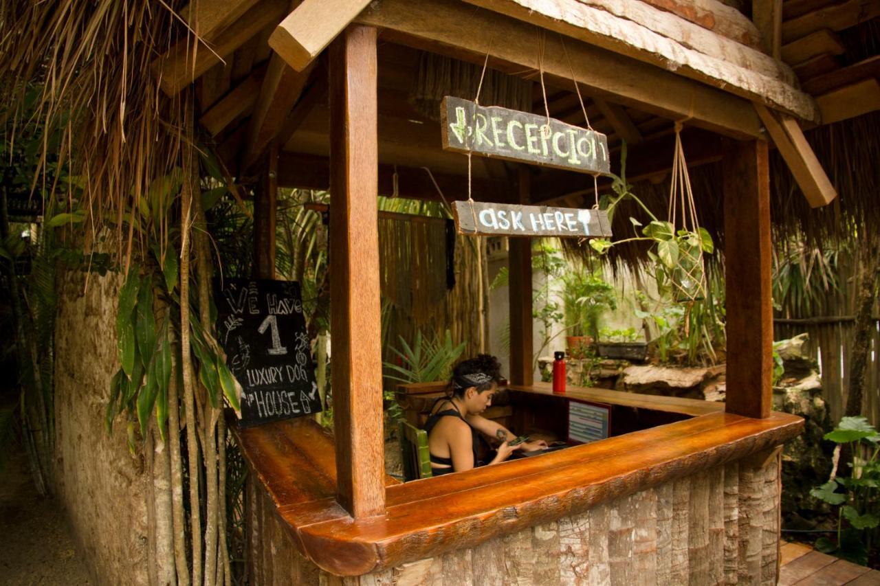 Cabanas La Eufemia 图卢姆 外观 照片
