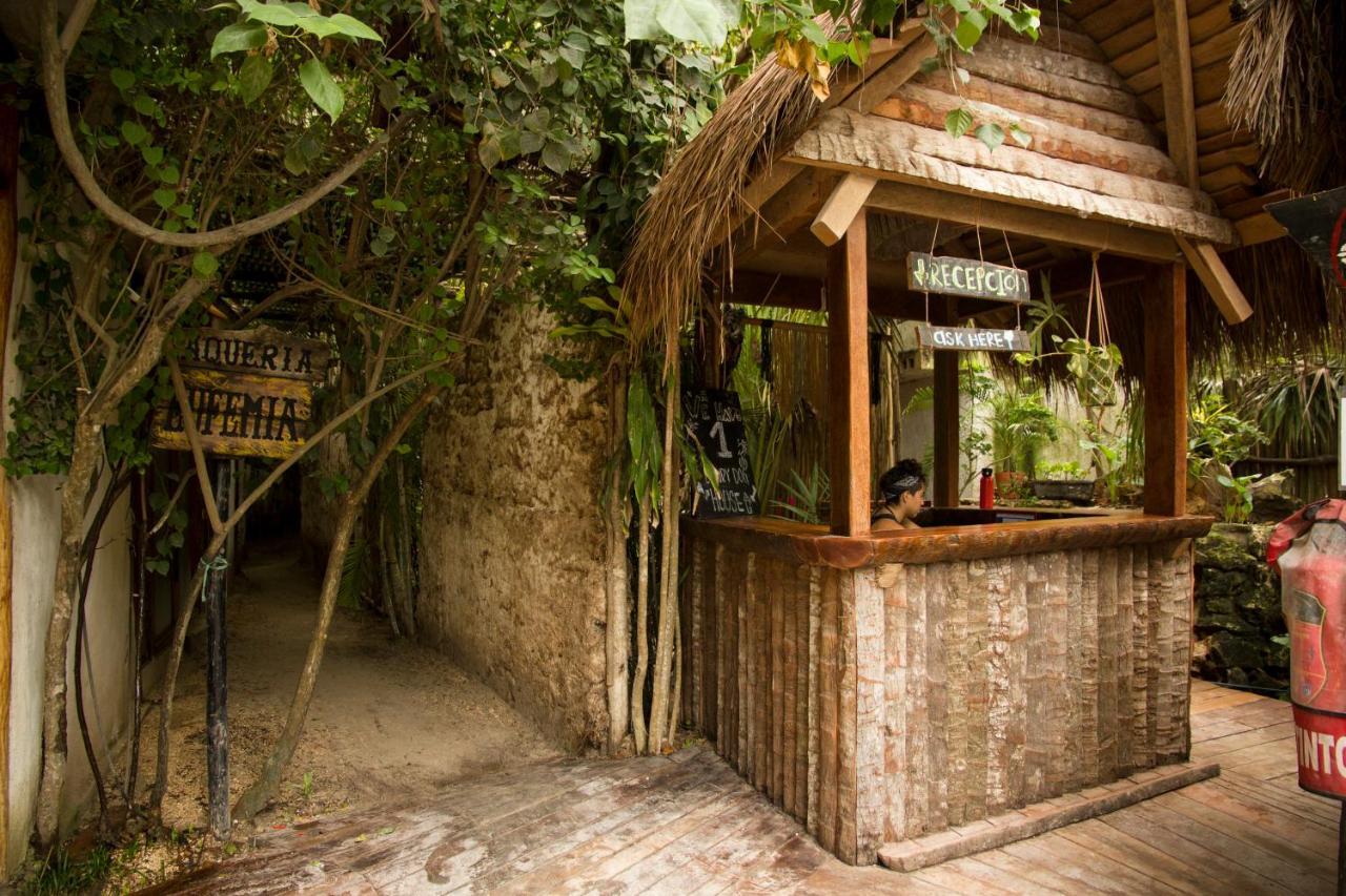 Cabanas La Eufemia 图卢姆 外观 照片
